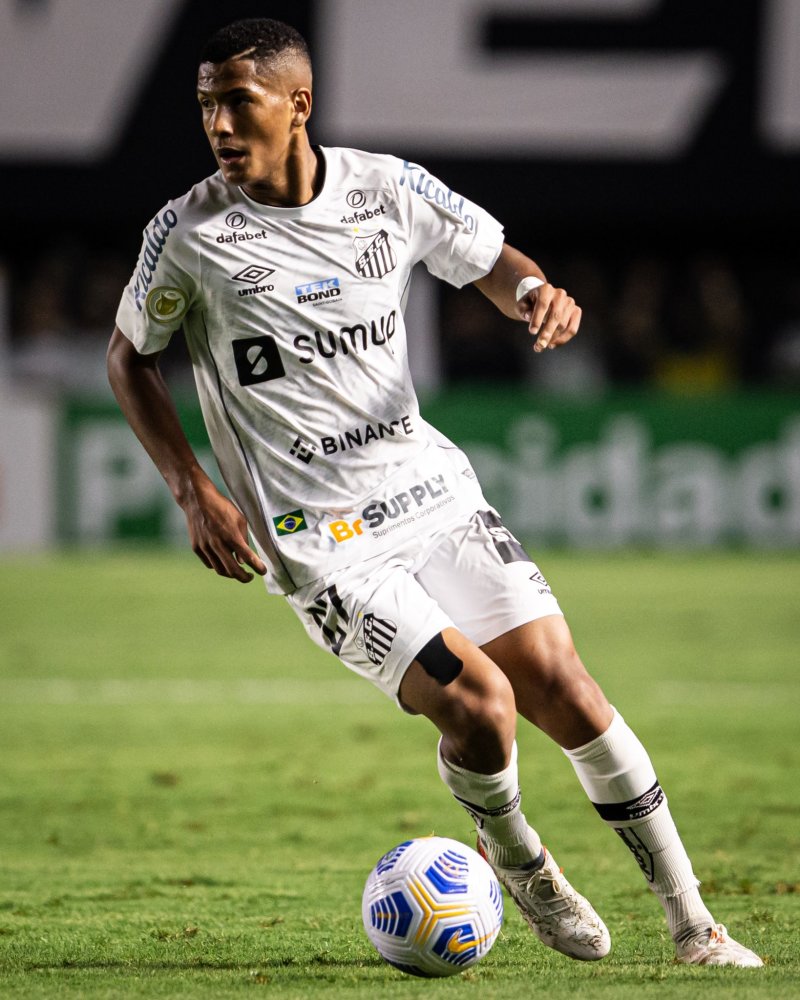 职业路径 职业路径